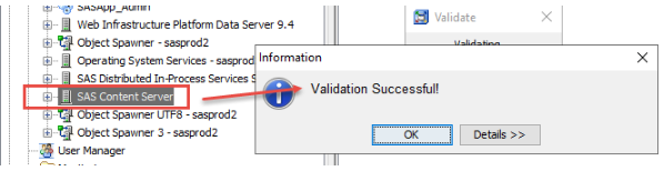 SAS Management Console validation